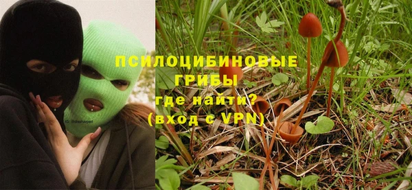 не бодяженный Няндома