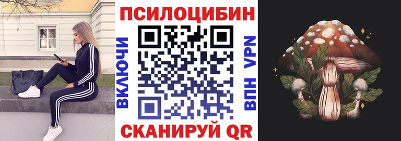 блэк спрут ТОР  Похвистнево  Псилоцибиновые грибы Cubensis 